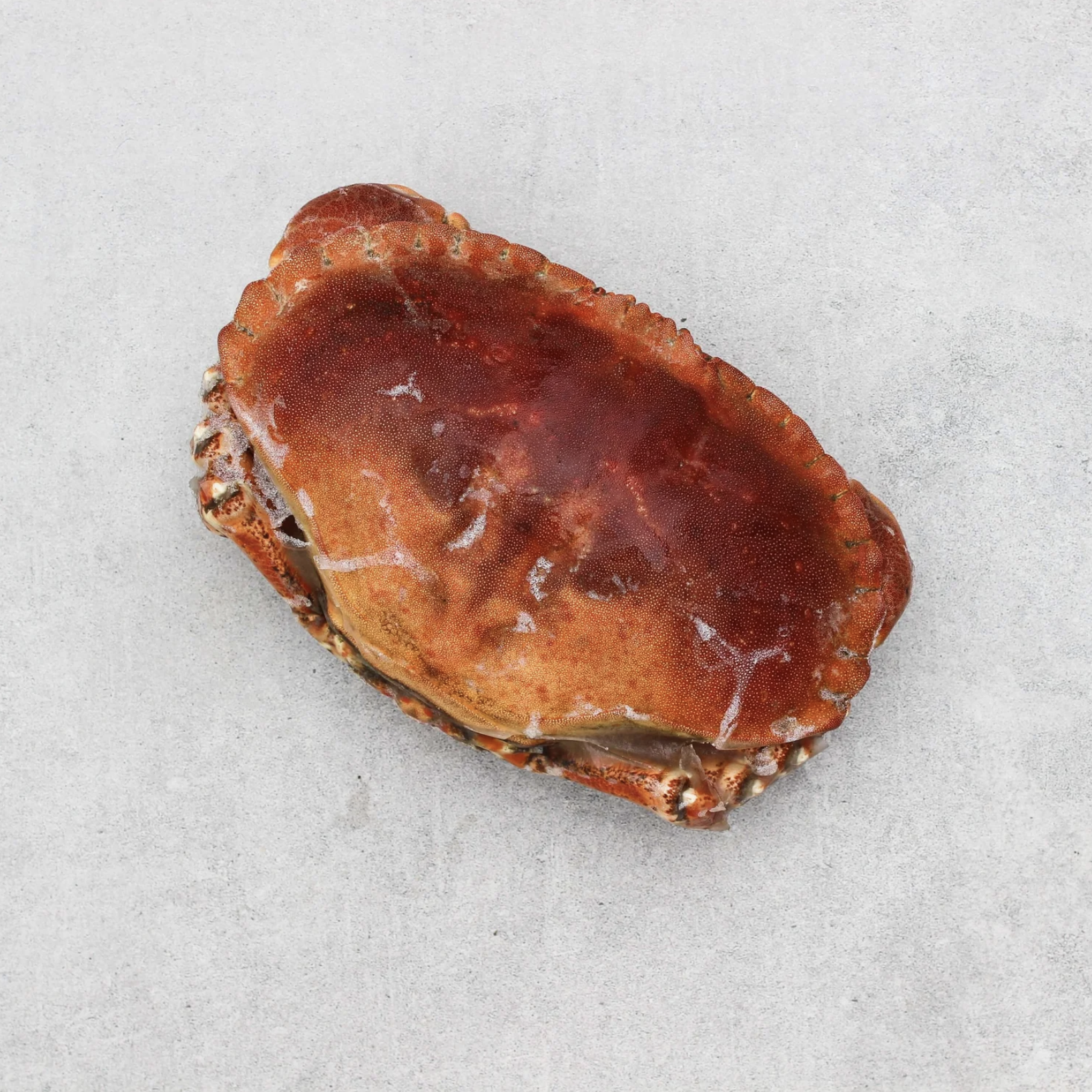 Devon Crab (Whole Cooked)